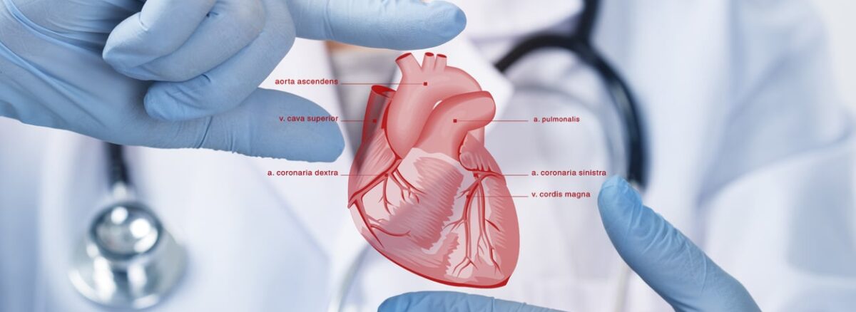 prakash-hospital-cardiology-Manesar